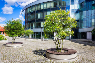 Bäume einer Grünanlage vor der Glasfassade des Bürogebäudes